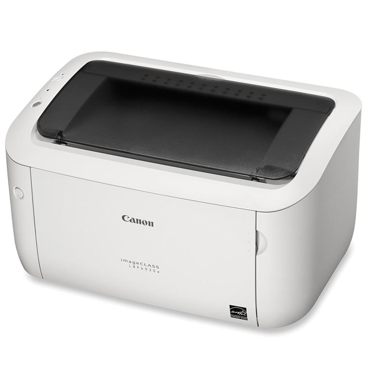 canon 6030